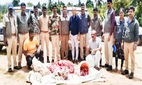 மானை வேட்டையாடி இறைச்சியை விற்க முயற்சி; 2 பேர் கைது மானை வேட்டையாடி இறைச்சியை விற்க முயற்சி; 2 பேர் கைது