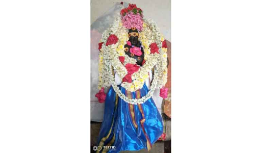 கிருஷ்ணன் கோவிலில் கோகுலாஷ்டமி விழா