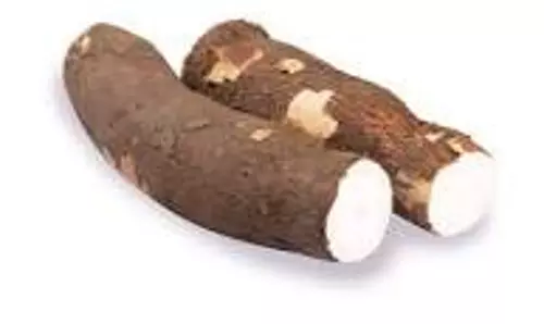 பரமத்திவேலூர் பகுதியில்  மரவள்ளிக்கிழங்கு டன் ரூ.2 ஆயிரம் உயர்வு