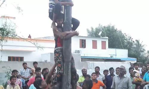 எருமப்பட்டியில்  வழுக்கு மரம் ஏறும் நிகழ்ச்சி