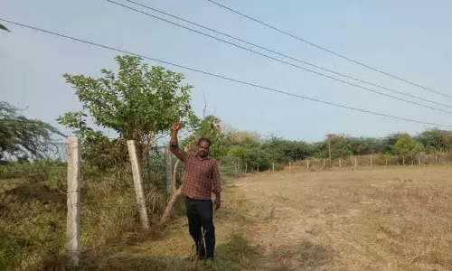 தாழ்வாக செல்லும் மின்கம்பிகள் தாழ்வாக செல்லும் மின்கம்பிகள்