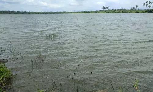 தென்மேற்கு பருவமழை எதிரொலி:கடல்போல் காட்சியளிக்கும் தேவம்பாடி வலசு குளம் -விவசாயிகள் மகிழ்ச்சி