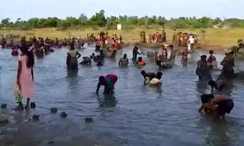 கடம்பகுளத்தில் மீன்பிடி திருவிழா