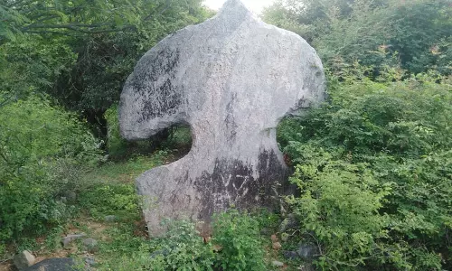 அழிந்து வரும் விசிறிப்பாறையை பாதுகாக்க தொல்லியல் துறை முன்வர வேண்டும்