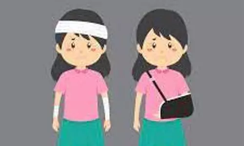 பழனி அருகே காட்டு யானை விரட்டியதில் தடுமாறி விழுந்த 2 பெண்கள் படுகாயம்