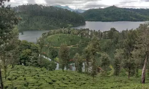 தேயிலை தோட்டங்களை சூழ்ந்த தண்ணீர்