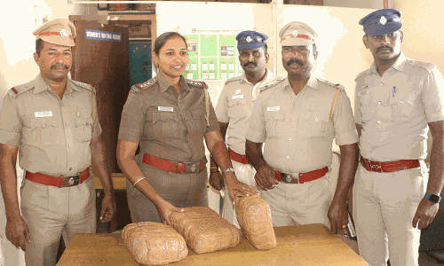 நிஜாமுதீன் எக்ஸ்பிரஸ் ரெயிலில் கடத்தி வந்த 6 கிலோ கஞ்சா பறிமுதல் நிஜாமுதீன் எக்ஸ்பிரஸ் ரெயிலில் கடத்தி வந்த 6 கிலோ கஞ்சா பறிமுதல்