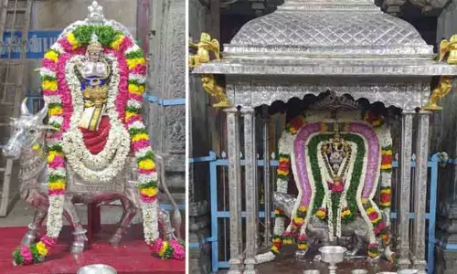 வெள்ளி மூஷிக வாகனத்தில் கற்பகவிநாயகர் வெள்ளி மூஷிக வாகனத்தில் கற்பகவிநாயகர்