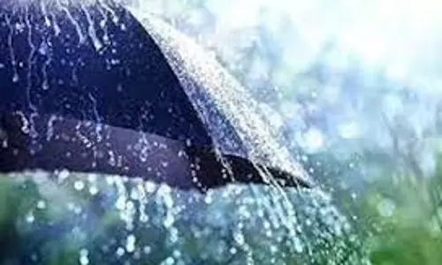 திருக்கடையூர், ஆக்கூர் பகுதிகளில் பலத்த மழை