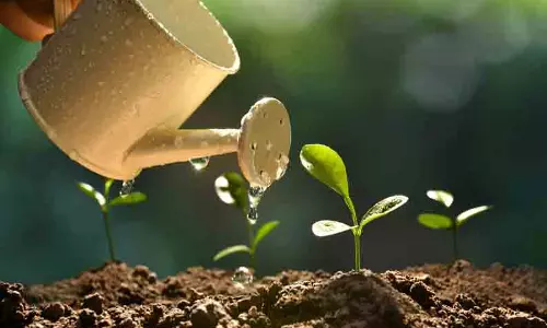 சான்றுபெற்ற விதைகளை மட்டுமே விற்பனை செய்ய வேண்டும் சான்றுபெற்ற விதைகளை மட்டுமே விற்பனை செய்ய வேண்டும்