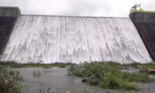 அடவிநயினார் அணை மீண்டும் நிரம்பியது