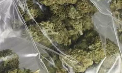 கஞ்சா விற்ற 3 பேர் சிக்கினர்