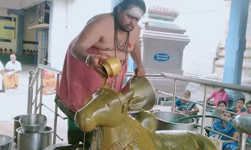 பிரதோஷத்தையொட்டி மோகனூர் அசலதீபேஸ்வரர் கோவிலில் சிறப்பு அபிஷேகம் பிரதோஷத்தையொட்டி மோகனூர் அசலதீபேஸ்வரர் கோவிலில் சிறப்பு அபிஷேகம்