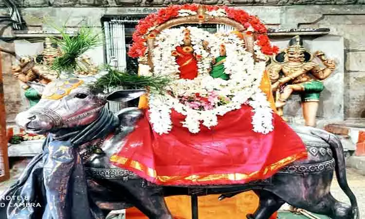 திருத்தளிநாதர் கோவிலில் பிரதோஷ விழா