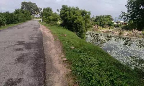 சாலையோரம் இரும்பு தடுப்புகள் அமைக்கப்படுமா? சாலையோரம் இரும்பு தடுப்புகள் அமைக்கப்படுமா?