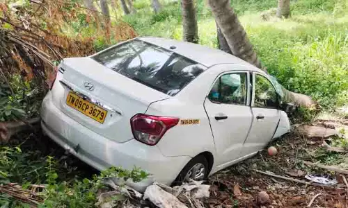 தடுப்புக்கம்பியில் மோதி சாலையோர பள்ளத்தில் பாய்ந்த கார்