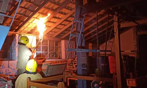 கடந்தை வண்டுகள் தீ வைத்து அகற்றம்