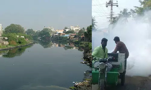 கூவம் ஆறு உள்ளிட்ட பகுதிகளில் படகுகள் மூலம் கொசு மருந்து தெளிக்கும் பணி - 29-ந் தேதி தொடக்கம்
