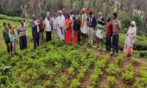 68 ஆயிரம் ஹெக்டரில் மண் அரிப்பு ஏற்படும் அபாயம்