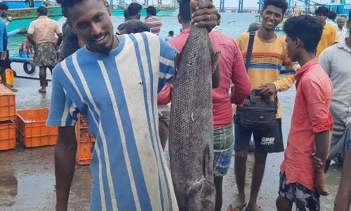 ரேடியம் போன்று ஒளிரும் கண் கொண்ட அதிசய மீன் சிக்கியது