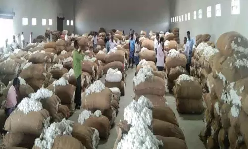 பூதப்பாடி ஒழுங்குமுறை விற்பனை கூடத்தில்  ரூ.1½ கோடிக்கு பருத்தி ஏலம்