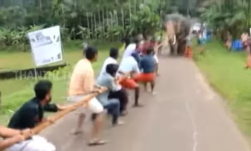 ஓணம் பண்டிகையை முன்னிட்டு நடத்தப்படும் கயிறு இழுக்கும் போட்டிகள் - கேரளா வனத்துறை அதிரடி உத்தரவு