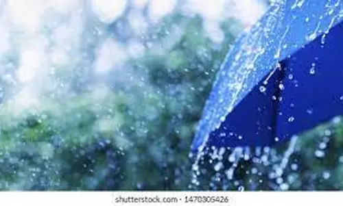 அதிகபட்சமாக சோளிங்கரில் 142.2 மில்லி மீட்டர் மழை பதிவு