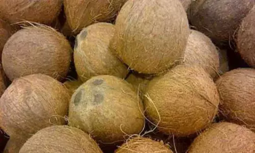 சிவகிரி, அவல்பூந்துறை, கவுந்தப்பாடியில் ரூ.21 லட்சத்துக்கு விவசாய விளைபொருட்கள் ஏலம் சிவகிரி, அவல்பூந்துறை, கவுந்தப்பாடியில் ரூ.21 லட்சத்துக்கு விவசாய விளைபொருட்கள் ஏலம்