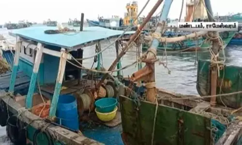 ராமேஸ்வரத்தில் கடல் அட்டை வைத்திருந்த விசைப்படகு பறிமுதல் - மீன்வளத்துறை அதிகாரிகள் நடவடிக்கை