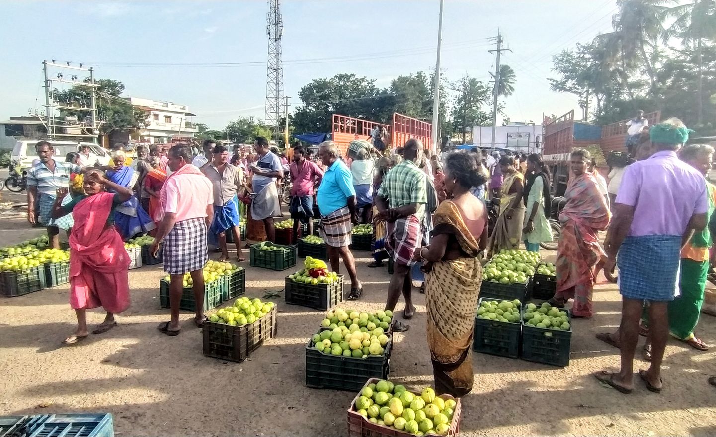 Guava Juice Factory ஆயக்குடியில் கொய்யா பழச்சாறு தயாரிக்கும் ஆலை