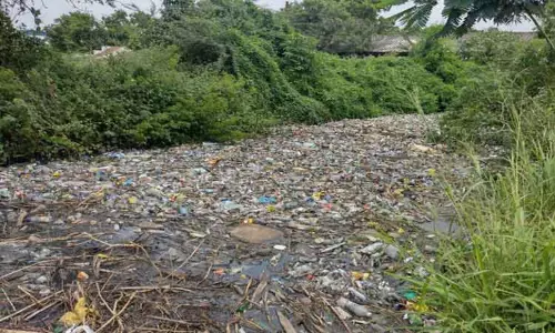 ராஜவாய்க்காலில் தேங்கிய பிளாஸ்டிக் கழிவுகளால் ஆச்சான் குளத்துக்கு தண்ணீர்வரத்து பாதிப்பு ராஜவாய்க்காலில் தேங்கிய பிளாஸ்டிக் கழிவுகளால் ஆச்சான் குளத்துக்கு தண்ணீர்வரத்து பாதிப்பு
