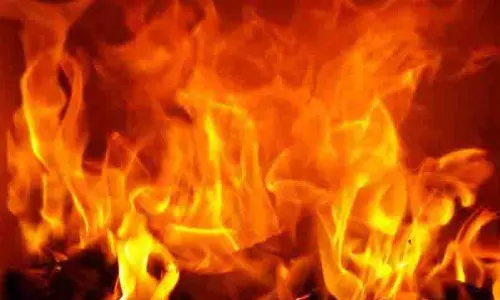 மின்னல் தாக்கியதில் மரங்கள் தீப்பற்றி எரிந்தன மின்னல் தாக்கியதில் மரங்கள் தீப்பற்றி எரிந்தன