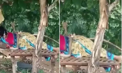 தூங்கி கொண்டிருந்த பெண்ணின் முதுகில் ஏறி படம் எடுத்து நின்ற பாம்பு... வைரலான வீடியோ தூங்கி கொண்டிருந்த பெண்ணின் முதுகில் ஏறி படம் எடுத்து நின்ற பாம்பு... வைரலான வீடியோ