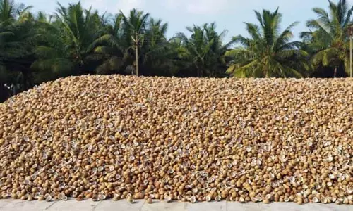 வேளாண் உற்பத்தி ஆணையத்தின் உத்தரவுக்கு காத்திருப்பு