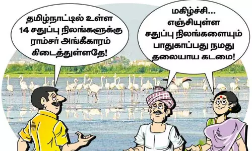 14 சதுப்பு நிலங்களுக்கு ராம்சர் அங்கீகாரம் 14 சதுப்பு நிலங்களுக்கு ராம்சர் அங்கீகாரம்
