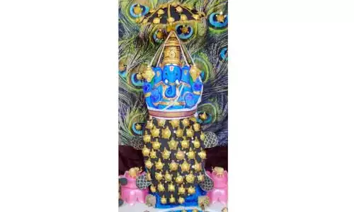 விதைகளுடன் ஆமை வடிவில் விநாயகர் சிலை செய்து அசத்தல்