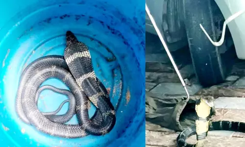 ஆடம்பர காரில் ஒரு மாத காலம் உல்லாச பயணம்.. சிக்கிய ஆபத்தான விஐபி ஆடம்பர காரில் ஒரு மாத காலம் உல்லாச பயணம்.. சிக்கிய ஆபத்தான விஐபி