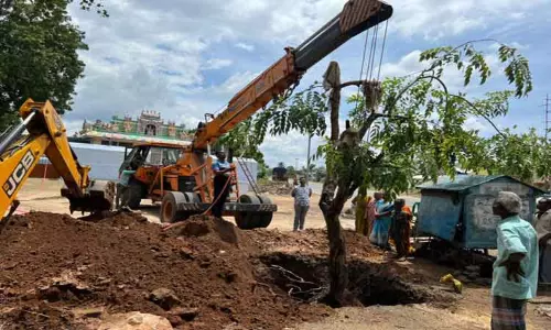 நான்கு வழிச்சாலையாக மாற்றம்: மரங்கள் வேரோடு தோண்டி எடுத்து மறுநடவு நான்கு வழிச்சாலையாக மாற்றம்: மரங்கள் வேரோடு தோண்டி எடுத்து மறுநடவு