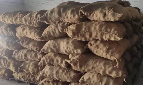 செஞ்சேரி ஒழுங்குமுறை விற்பனை கூடத்தில் கொப்பரை தேங்காய் கொள்முதல் மீண்டும் தொடங்கியது-விவசாயிகள் மகிழ்ச்சி செஞ்சேரி ஒழுங்குமுறை விற்பனை கூடத்தில் கொப்பரை தேங்காய் கொள்முதல் மீண்டும் தொடங்கியது-விவசாயிகள் மகிழ்ச்சி