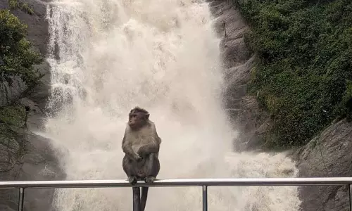 வெள்ளத்தில் மிதக்கும் மலைகளின் இளவரசி  அருவிகளில் வெள்ளப்பெருக்கு-மலைப்பாதை துண்டிப்பு