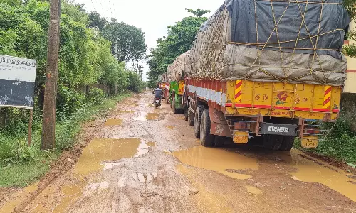 வேலைவாய்ப்பு அலுவலகத்திற்கு செல்லும் சாலை சேறும், சகதியுமாக காணப்படும் அவலம் வேலைவாய்ப்பு அலுவலகத்திற்கு செல்லும் சாலை சேறும், சகதியுமாக காணப்படும் அவலம்