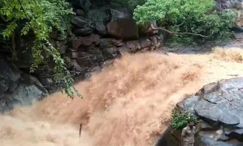 சேலம் மாவட்டம் முழுவதும் பரவலாக மழை:  முட்டல் நீர்வீழ்ச்சியில் வெள்ளப்பெருக்கு  மழைவெள்ளம் சூழ்ந்ததால் பள்ளிக்கு விடுமுறை