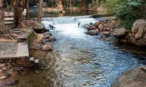 அணைகளில் நீர்மட்டம் உயர்வு அணைகளில் நீர்மட்டம் உயர்வு