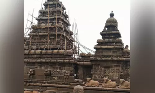 பொலிவிழந்த மாமல்லபுரம் புராதன சின்னங்கள்.. 3 ஆண்டுகளுக்கு பின் பராமரிப்பு பணி தொடக்கம்