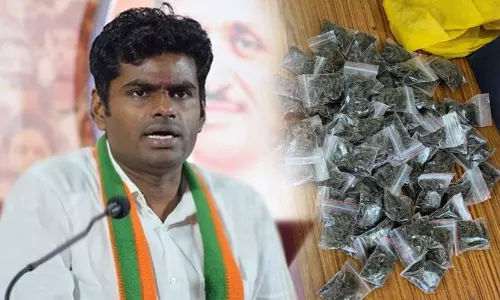 இந்தியாவின் கஞ்சா தலைநகரம் தமிழகம் - அண்ணாமலை பரபரப்பு குற்றச்சாட்டு இந்தியாவின் கஞ்சா தலைநகரம் தமிழகம் - அண்ணாமலை பரபரப்பு குற்றச்சாட்டு