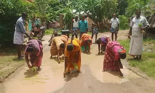 சாலையில் நாற்று நடும் போராட்டம் சாலையில் நாற்று நடும் போராட்டம்