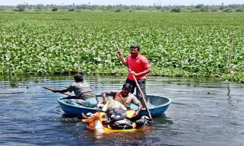 186 விநாயகர் சிலைகள் கரைப்பு