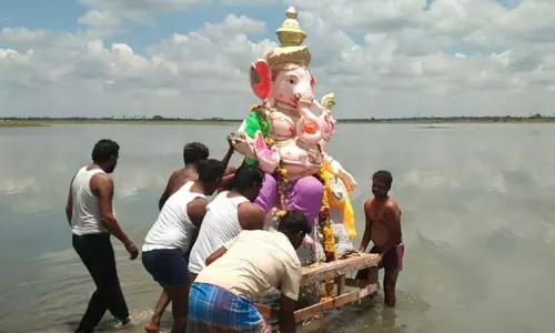 விக்கிரவாண்டியில்  விநாயகர் சிலைகள் ஊர்வலம்