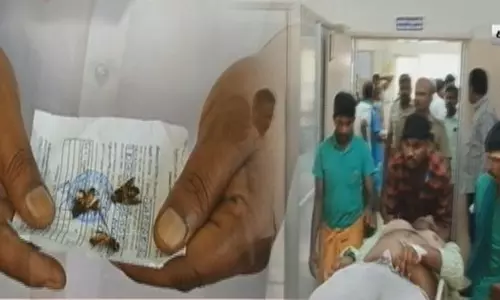 திருப்பூர்: கண்ணாடிபுத்தூர் பகுதியில் கோயில் தீர்த்தம் எடுக்க சென்றவர்களை கொட்டிய தேனீக்கள் - 76 பேர் மருத்துவமனையில் அனுமதி