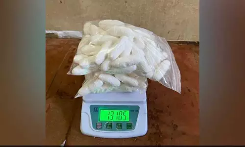 மும்பை: ரூ.13 கோடி மதிப்புள்ள போதைப்பொருளை கடத்திவந்த நபர் கைது மும்பை: ரூ.13 கோடி மதிப்புள்ள போதைப்பொருளை கடத்திவந்த நபர் கைது